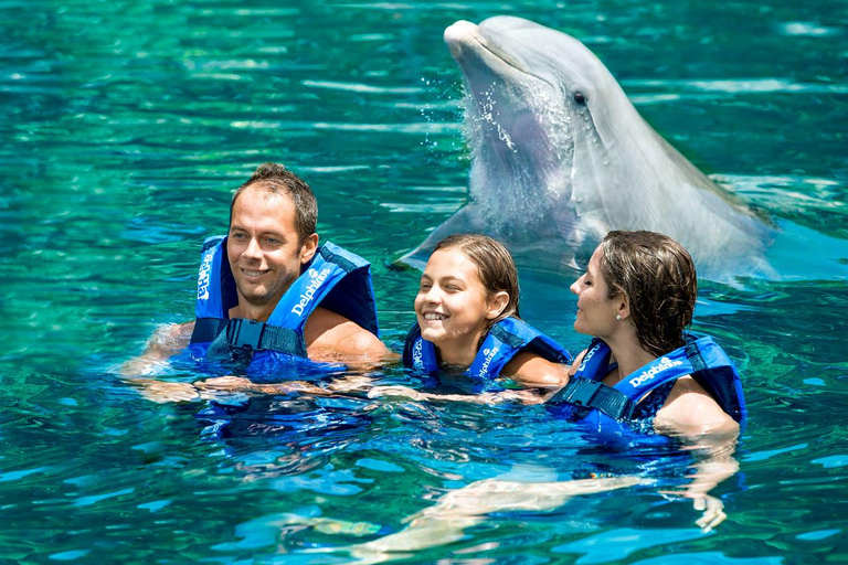 From Cancun: Xel-Há All-Inclusive Park All-Inclusive Xel-Há Park Admission with Transportation