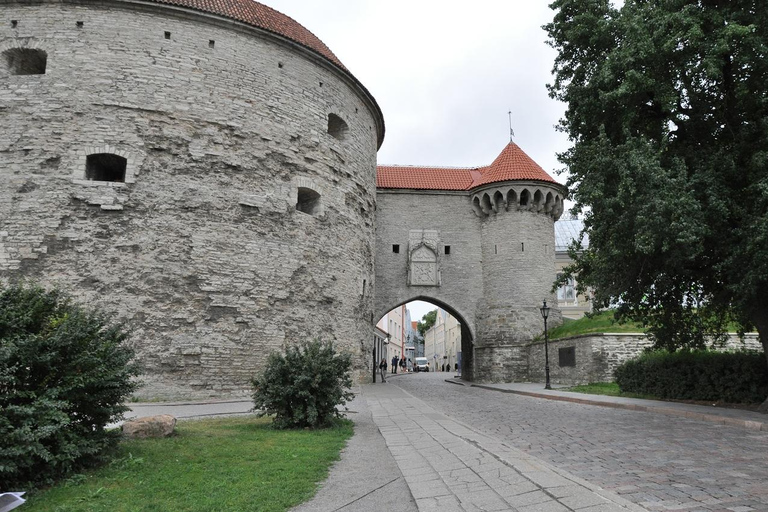 Individual excursion in Tallinn