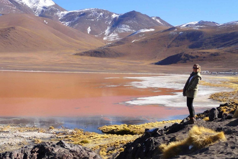 Z Uyuni: Laguna Colorada i Salar de Uyuni 3 dni + posiłki