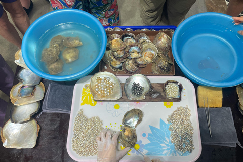 Colombo: Train Ride, visit Tea Plantation, & Cooking Tour