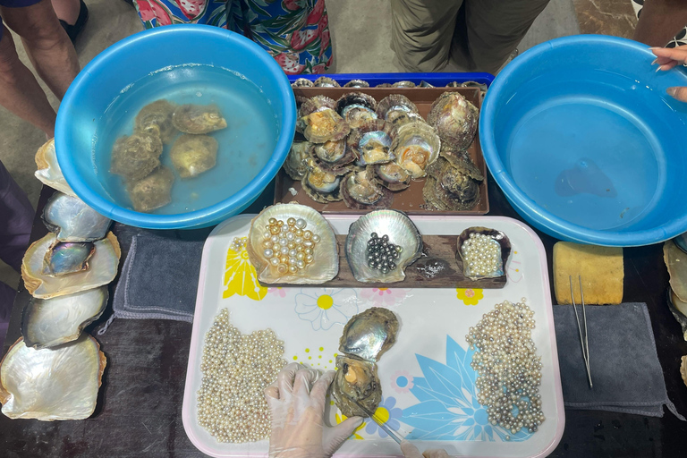 Colombo: Train Ride, visit Tea Plantation, & Cooking Tour