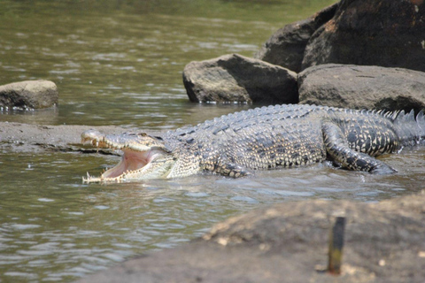 Bentota: River Safari with Hotel Pickup and Drop-off