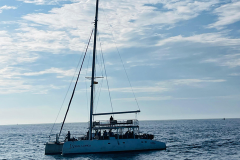 Colombo: Galle, Unawatuna, and Madu River Day Trip