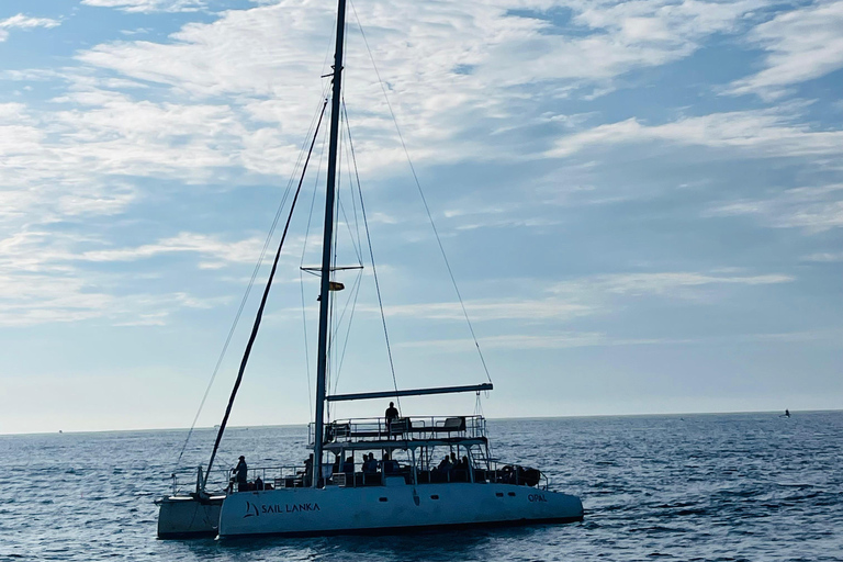 Colombo: Galle, Unawatuna, and Madu River Day Trip