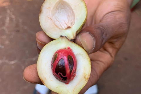 ZANZIBAR: Toup 4 bästa attraktionerna i Zanzibar guidad turPrivat tur utan upphämtning från hotell