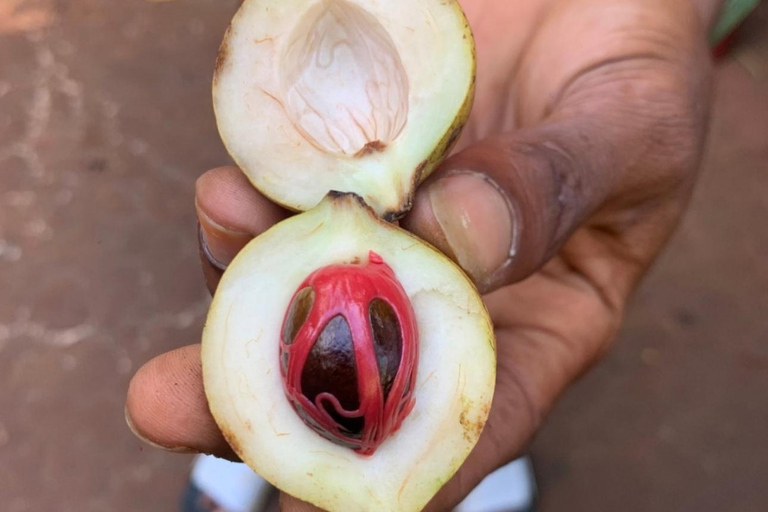 ZANZIBAR: Toup 4 bästa attraktionerna i Zanzibar guidad turPrivat tur utan upphämtning från hotell