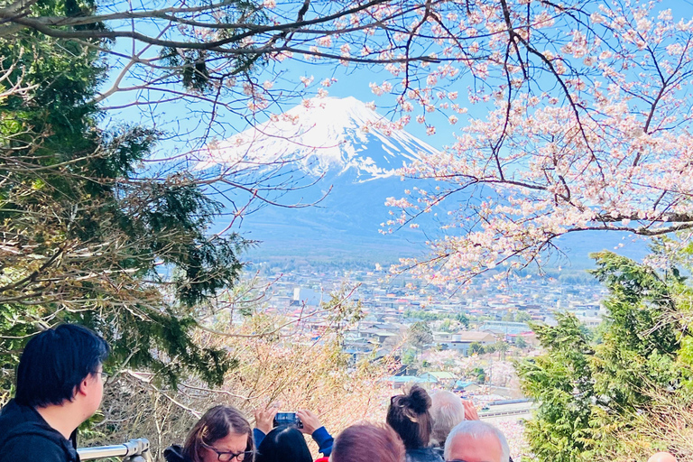 Privétour van 1 dag naar Mt. Fuji/Hakone vanuit Tokio/Yokohama