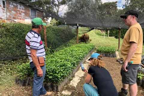 Medellín: Coffee Farm Tour Santa Bárbara, Antioquia (Share)