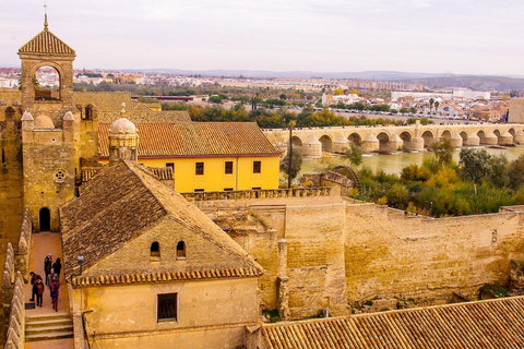 Siviglia: viaggio in minibus privato a Córdoba per piccoli gruppi