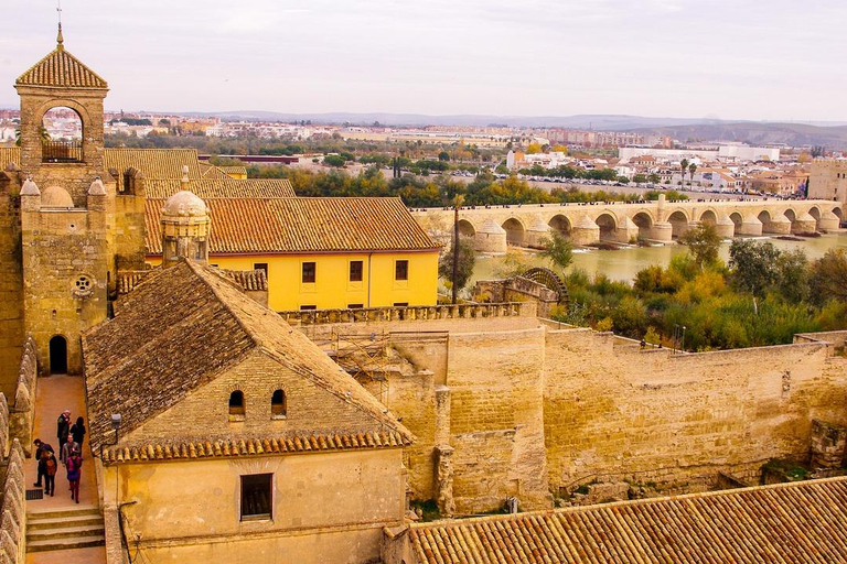 Sevilla: privat minibussresa till Córdoba för små grupper