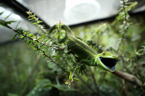 Wellington Zoo General Admission Tickets