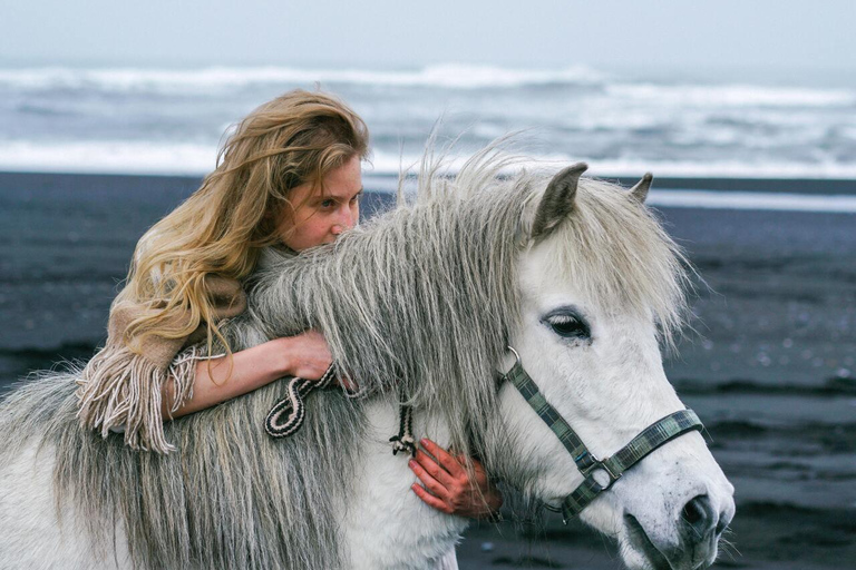South Iceland: Icelandic Horse Black Sand Beach Ride