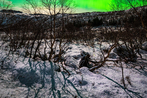 Svolvær: Ultieme jacht op Aurora