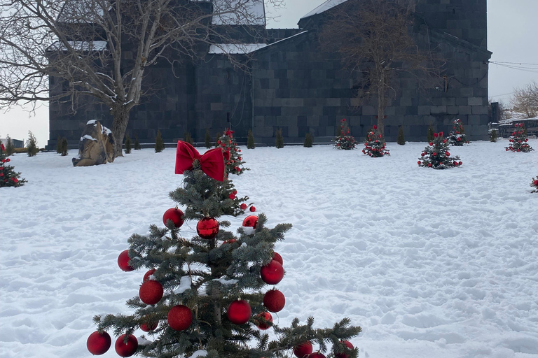 阿拉加茨山全天雪地体验之旅（含导游）