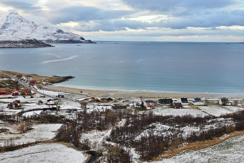 Da Tromsø: Tour panoramico dei fiordi e della fauna artica in auto