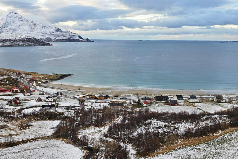 Da Tromsø: Tour panoramico dei fiordi e della fauna artica in auto