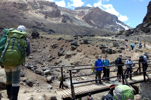 7 giorni di arrampicata di lusso sulla via lemosho del kilimanjaro