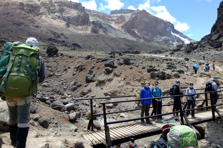 7 giorni di arrampicata di lusso sulla via lemosho del kilimanjaro