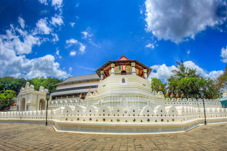 Ciudad de Kandy Explora como un lugareño en Tuk Tuk