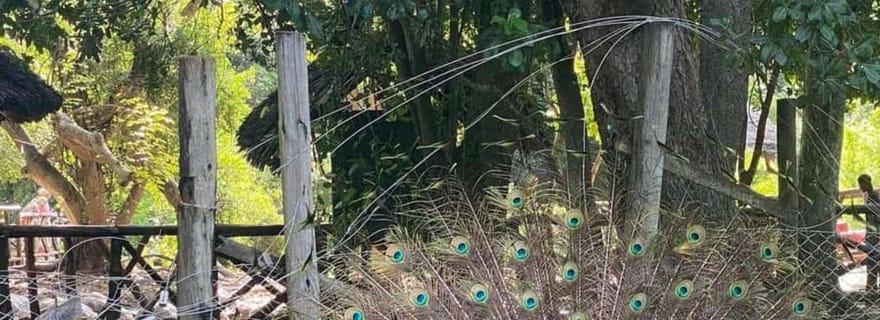 Zanzibar : visite d'une demi-journée de l'île-prison et de Stone Town