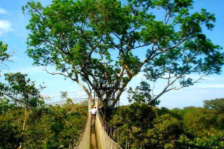 Iquitos: 5-Day Amazon Camp, Zipline & Jungle Tour