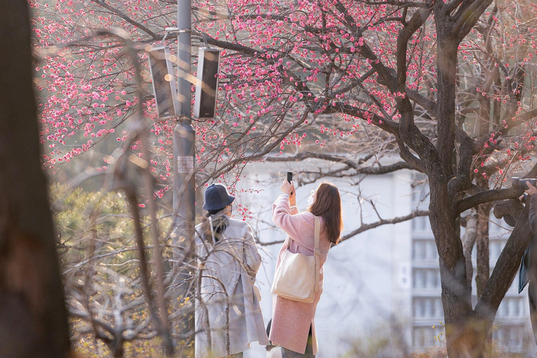 Seoul: Bongeunsa Tempel und Gourmet Nachttour in Gangnam