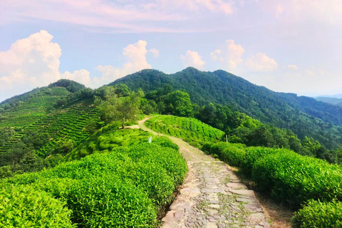 Hangzhou Jiuxi, Shililangdang & Yunqi Day Hiking Tour
