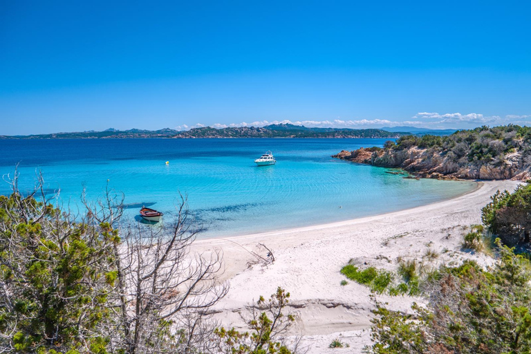 Da Santa Teresa Gallura: tour in motonave a La Maddalena From Santa Teresa Gallura