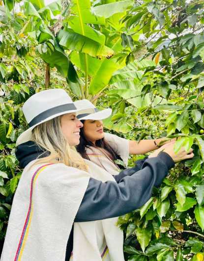 Medellín Coffee Farm Tour with Trolley and Cable Car Ride