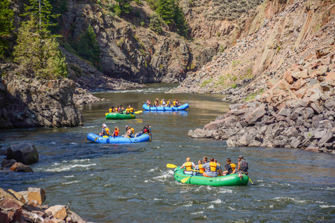 Colorado: Guided Colorado River Rafting Half Day Trip