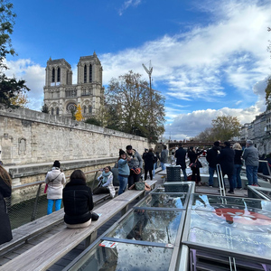 Paris: Illuminations River Cruise mit Audiokommentar