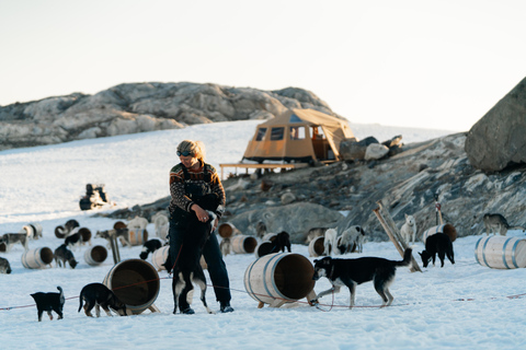 Tromsø: Aventura exclusiva en trineo tirado por perros