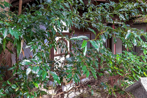 Hidden Japan: Arima Onsen & Mountain Escape from Osaka