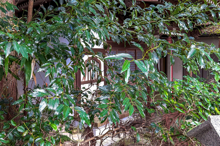 Hidden Japan: Arima Onsen & Mountain Escape from Osaka