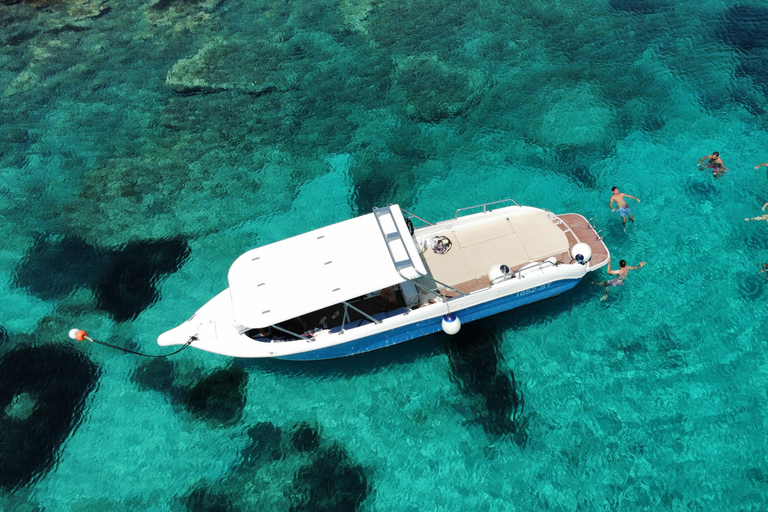 From Split: Blue Cave & 5 Islands Amazing Speedboat Tour