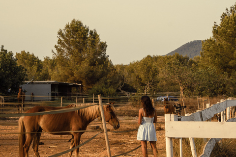 Cebu, Philippines: Mountain Heritage Trail Riding Adventure