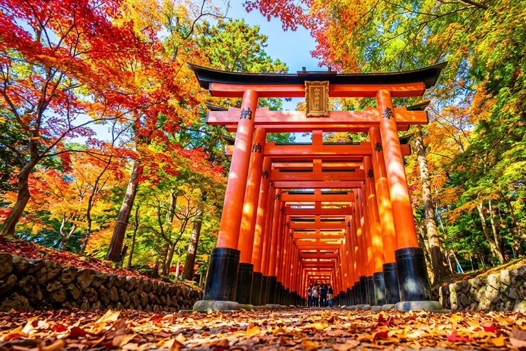 Osaka: Nara, Kyoto, and Arashiyama Day Trip with Train Ride Small Group (1–13 People, Meeting Point Pickup)