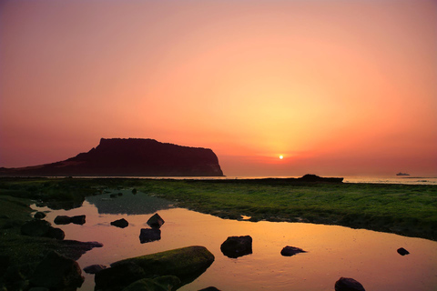 Jeju UNESCO Attractions Full-Day Tour with Daily Chauffeur