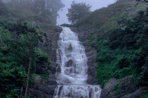 From Galle: Sinharaja Rainforest Trek & Village Lunch From Deniyaya: Private Tuk-Tuk, Rainforest Trek & Lunch