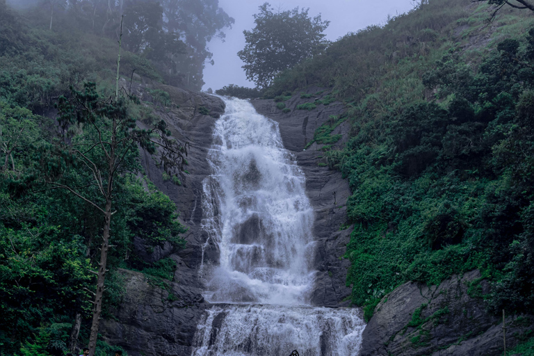 From Galle: Sinharaja Rainforest Trek & Village Lunch From Deniyaya: Private Tuk-Tuk, Rainforest Trek & Lunch