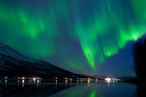From Tromsø: Aurora Bus Tour with Snacks, Photos, and Drinks 4-Hour Tour