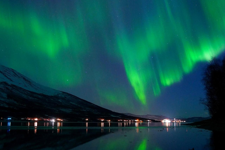 From Tromsø: Aurora Bus Tour with Snacks, Photos, and Drinks 4-Hour Tour
