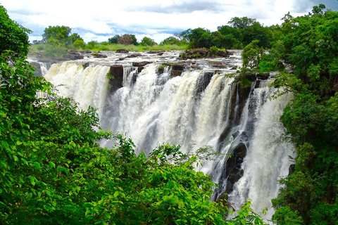 Sunrise Guided Tour of the Victoria Falls