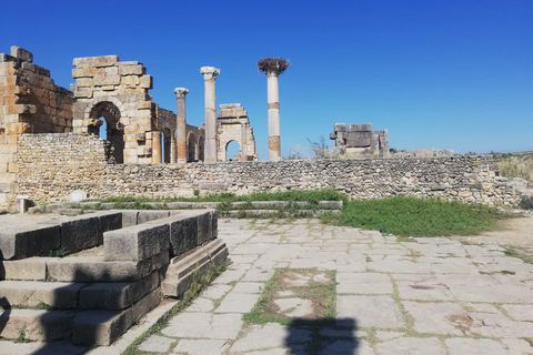 Transfer från Fes till Tanger via Volubilis och Chefchaouen