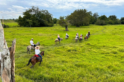 From Medellin; (All-In) The Real Horseback Ranch ExperienceMedellin Departure; Authentic Colombian Ranch Experience