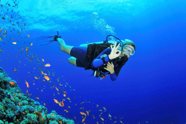 Da Nang/Hoi An: Cham Islands Snorkeling or Scuba Diving Diving in Cham Islands with an instructor