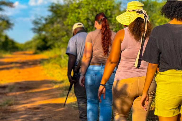 Cataratas Vitória: Caminhada de caça no Parque Nacional do ZambezeCaminhada de caça à tarde