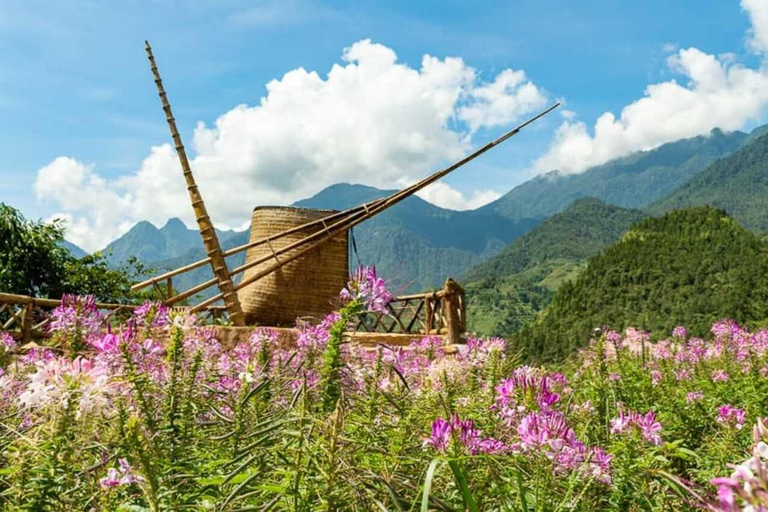 Hanói: 3 dias de trekking em Sapa Cat Cat, Lao Chai, pontes de vidro