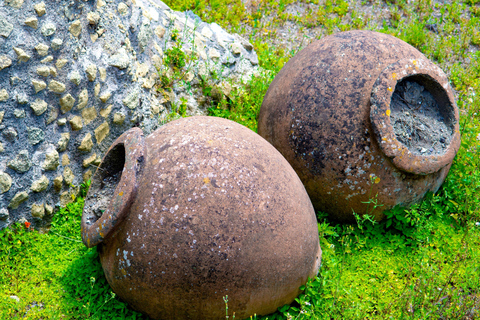 Pompeii: Skip-the-Line rondleiding