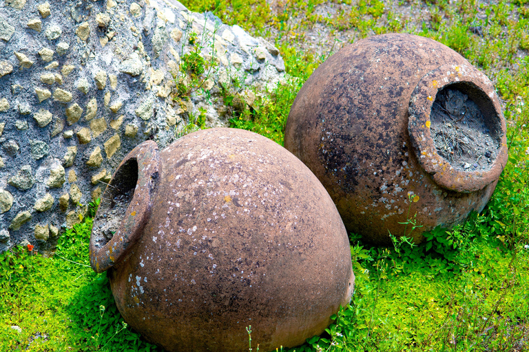 Pompeii: Skip-the-Line Guided TourGuided Tour in English